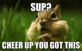 Cheer Up You Got This Desicomments