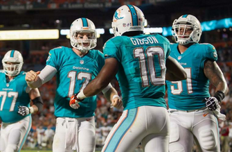 Miami Dolphins Wallpaper Snap