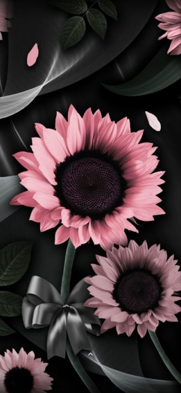 Shani Cruz On Pretty Flowers Nice Plant Serene Background
