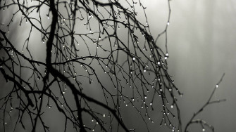 Top Beautiful Rain Wallpaper Full HD 4k To Use
