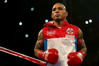 Miguel Cotto Wallpaper Desktop Background