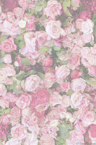 Background iPhone Wallpaper Home Screen