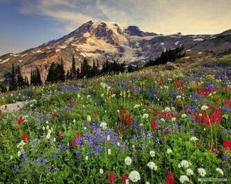 Nature Wallpaper HD Landscape