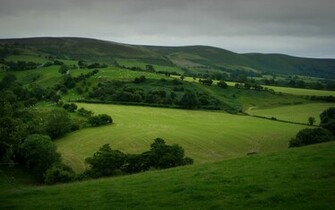 Green Hills Fields Trees Wallpaper