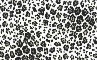 Black And White Leopard Print Wallpaper In High Resolution At Patterns