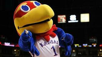 The Kansas University Variety It Seems May Have Just Become An