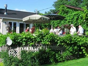 The Scene Of Bbq On Ernst And Annette S Beautiful Patio Deck With