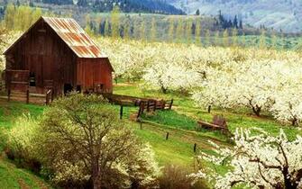 Desktop Background For Spring Beautiful By Best