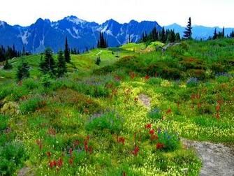 Mountain Meadow Wallpaper