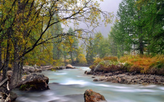 Early Fall Desktop Wallpaper