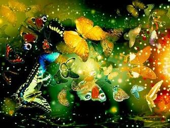 Colorful Butterfly HD Wallpaper Real Artistic