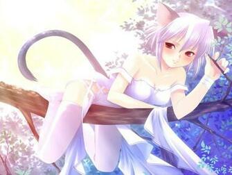 Technorati Anime Wallpaper Girls Neko