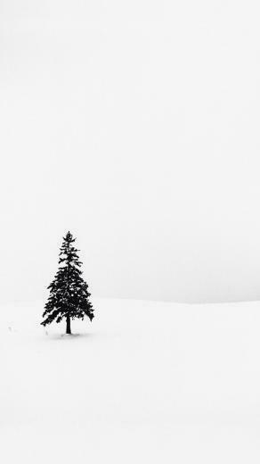 Nature Wallpaper For iPhone Plus