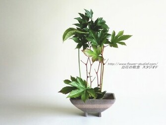 High Definition Wallpaper Photo Ikebana Html