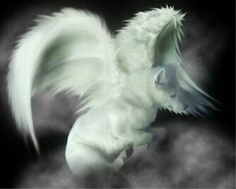 Wolf Anime Wallpaper Fun Animals Wiki Videos Pictures
