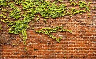 Beautiful And Brick Textures For Your Artworks Creative