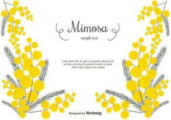 Hand Drawn Mimosa Vector Background Vectors