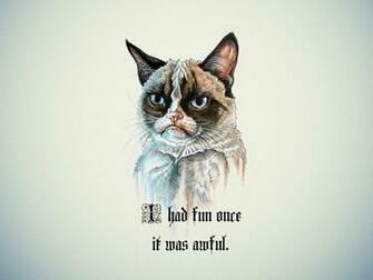Funny Collection World Find The Best Funniest All