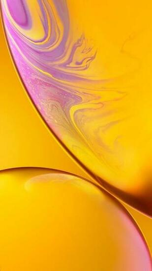 The New iPhone Xs And Max Wallpaper