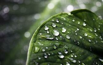 Wallpaper Desktop Nature Rain 3d