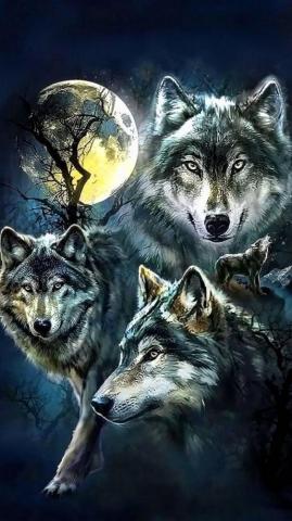 iPhone Wolf Wallpaper Pro
