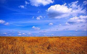 Summer Country Desktop Background On The HD