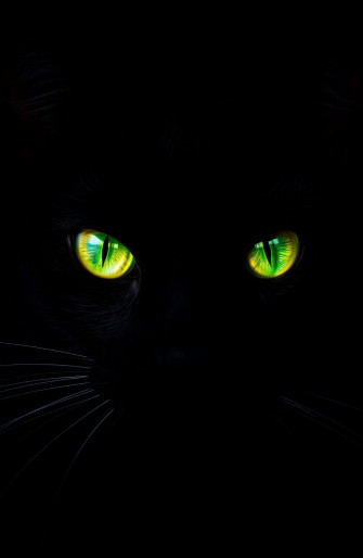 Black Cat Eyes Wallpaper