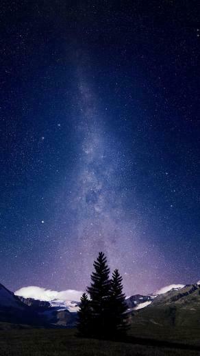 Nature Nexus Wallpaper HD And Background