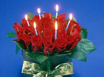 Roses Jpg