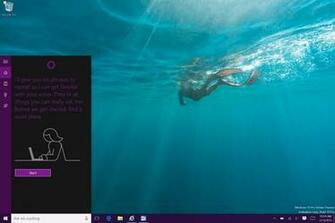 Best Of Cortana Who Built You Ant Bailey