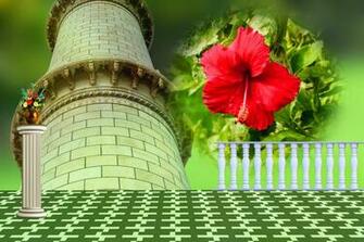 Wedding Album Photo Studio Wallpaper