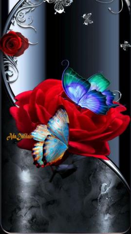 Halina Marchewka On Tapety Beautiful Flowers Pictures