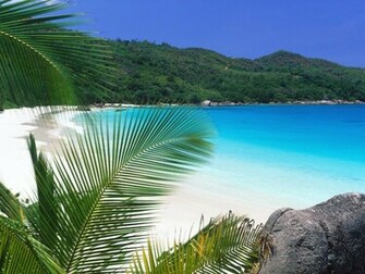 Beautiful Nature Wallpaper
