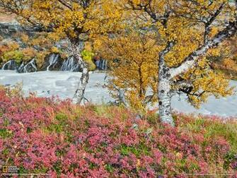 Photography Desktop Wallpaper National Geographic Magazine