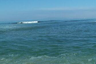 Surf Fishing