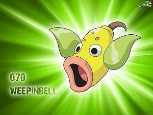 Weepinbell Wallpaper