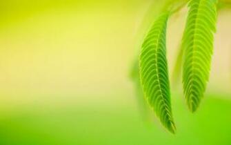 Windows Default Desktop Background Dual Screen