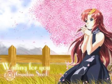 Lacus Clyne Mobile Suit Gundam Seed Wallpaper