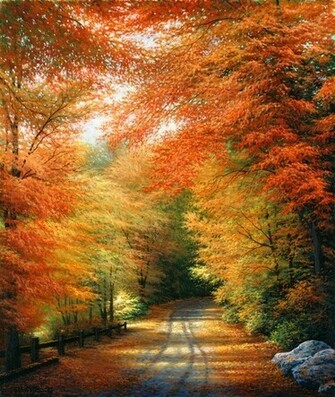 Autumn In New England Wall Art Contemporary Wallpaper By Murals