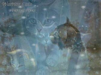 Warriors Cats Background