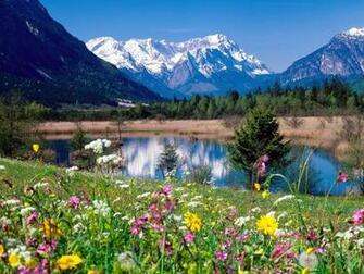 Widescreen Background Wallpaper Beautiful Image Summer