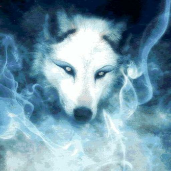 Amazon Wolf Spirit Live Wallpaper Appstore For Android