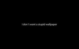 Best Dumbest Wallpaper