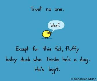 Trust No One By Sebreg