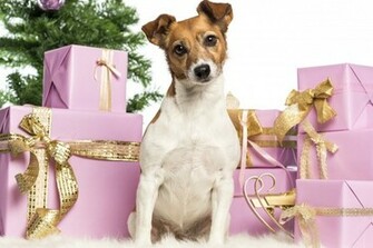 At Wallpaper For iPhone And iPad Android