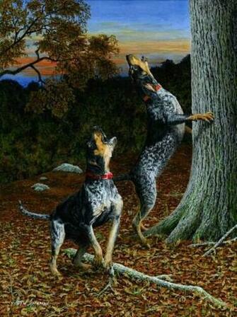 Anna Carroll Pope On Coon Hunting
