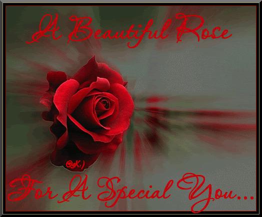 Bed Of Roses For My Dear Friend Alba Models Female People