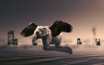 Elephant Creative Wallpaper Animal Desktop Background