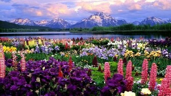 Provence Wallpaper