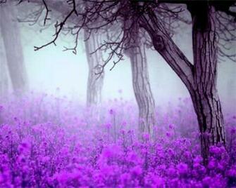 Related Pictures Pastel Flowers Powerpoint Presentations